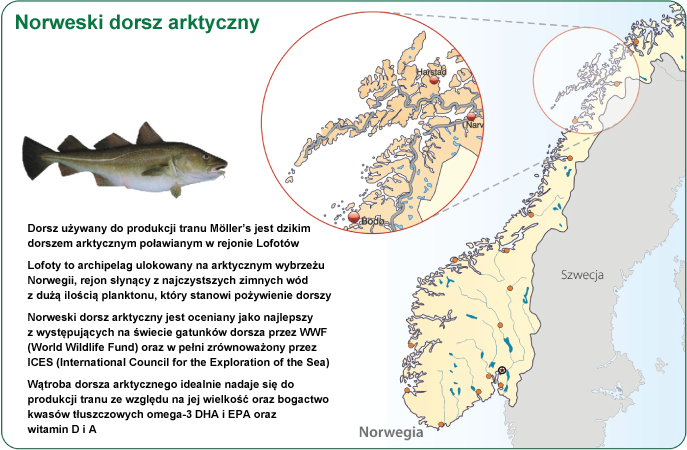 Źródła pozyskiwania dorsza do produkcji tranu Möller’s