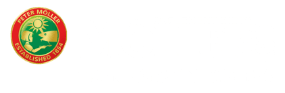 Tran Möller's