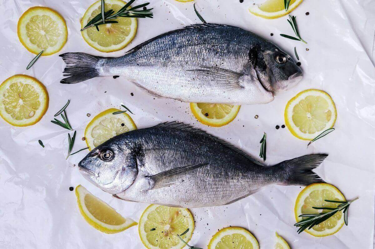 Ryby źródło kwasów omega-3